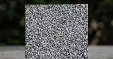 张掖 芝麻黑荔枝面