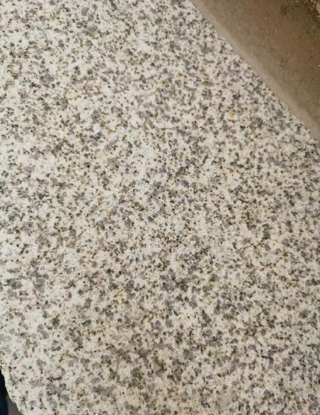 张掖 黄金麻中黄光面