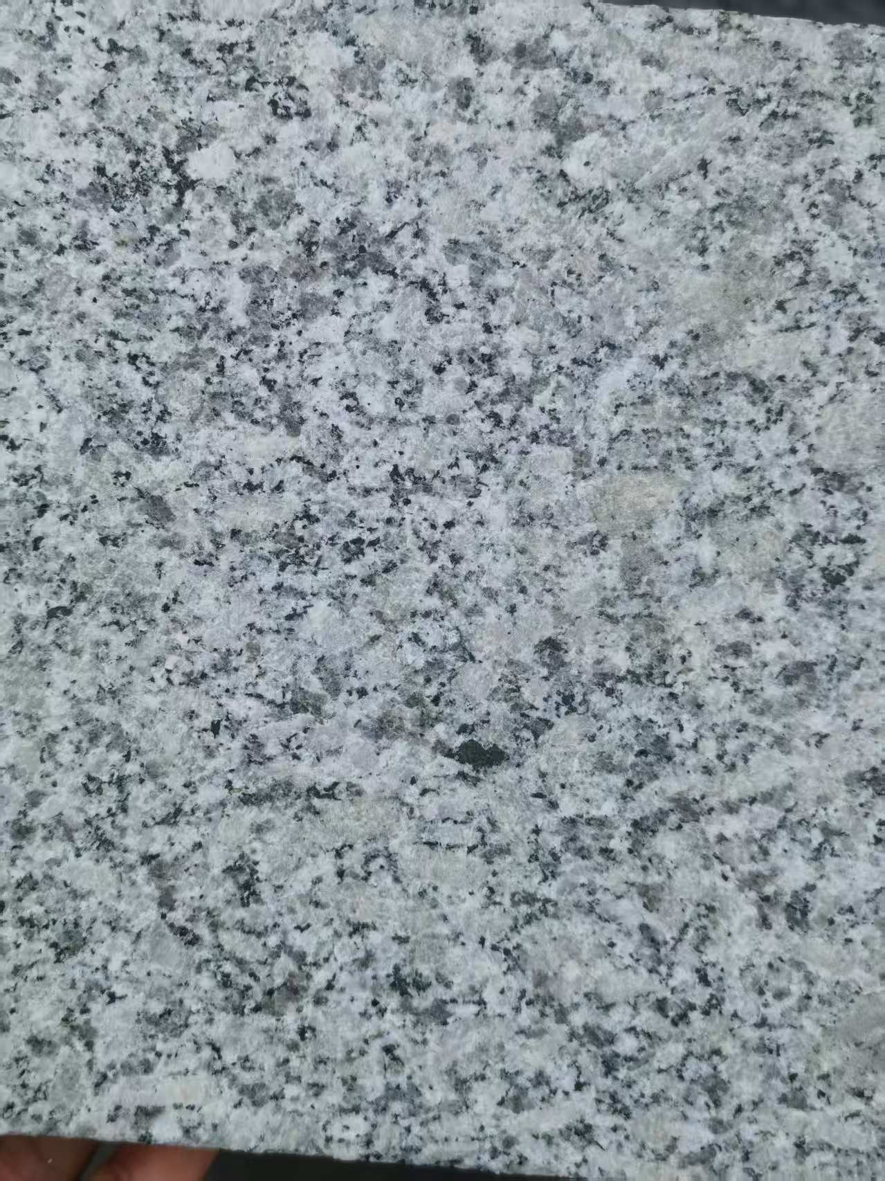 张掖 芙蓉白火烧面