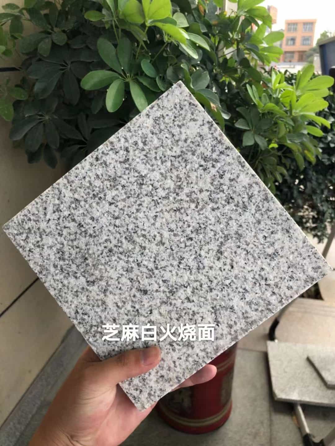 张掖芝麻白火烧面地铺